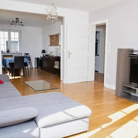 Charmant Appartement Avec Terrasse Dans Villa Strasbourg Exterior photo