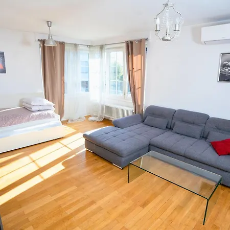 Charmant Appartement Avec Terrasse Dans Villa Strasbourg Exterior photo